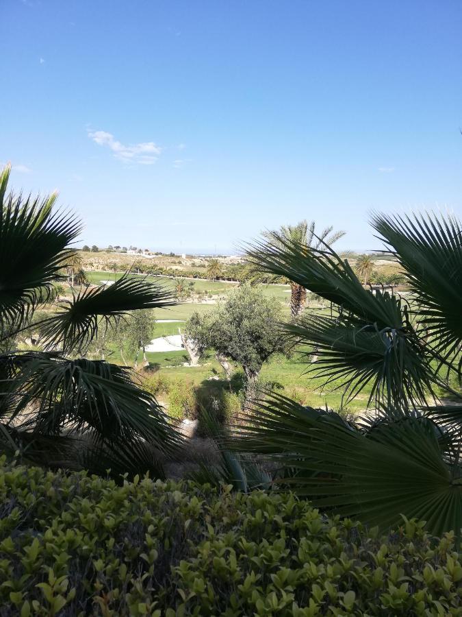 Bajo Con Jardin Propio En Valle Del Este Golf!! 베라 외부 사진